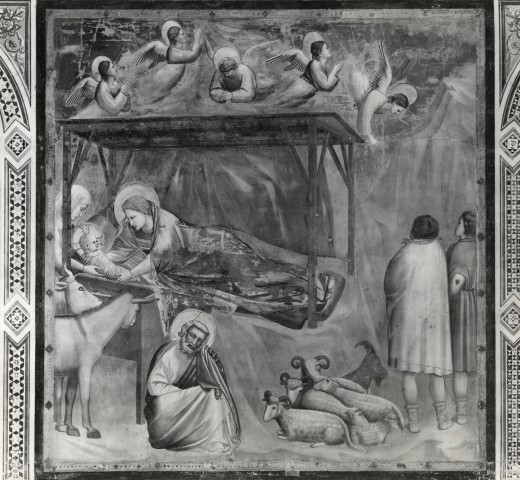 Anonimo — Giotto. La natività. Cappella degli Scrovegni - Padova — insieme
